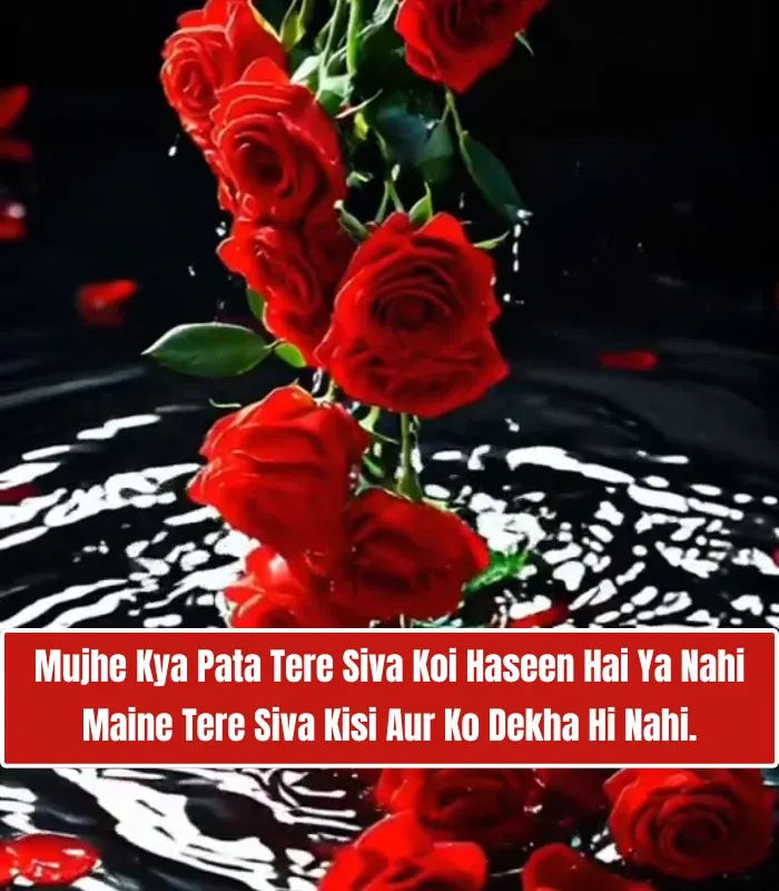 2 Line Love Shayari in English for Girlfriend