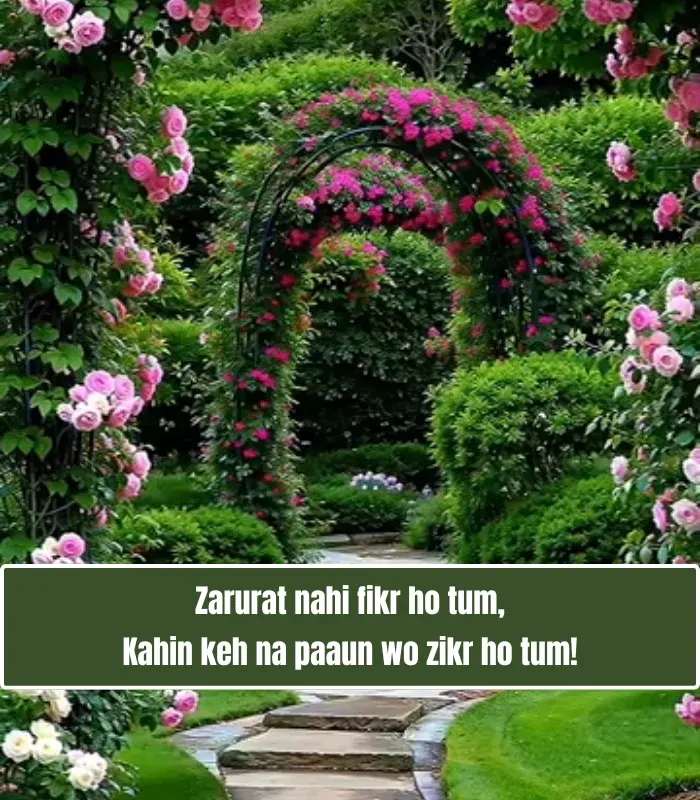 2 Line Love Shayari in English Hindi Text