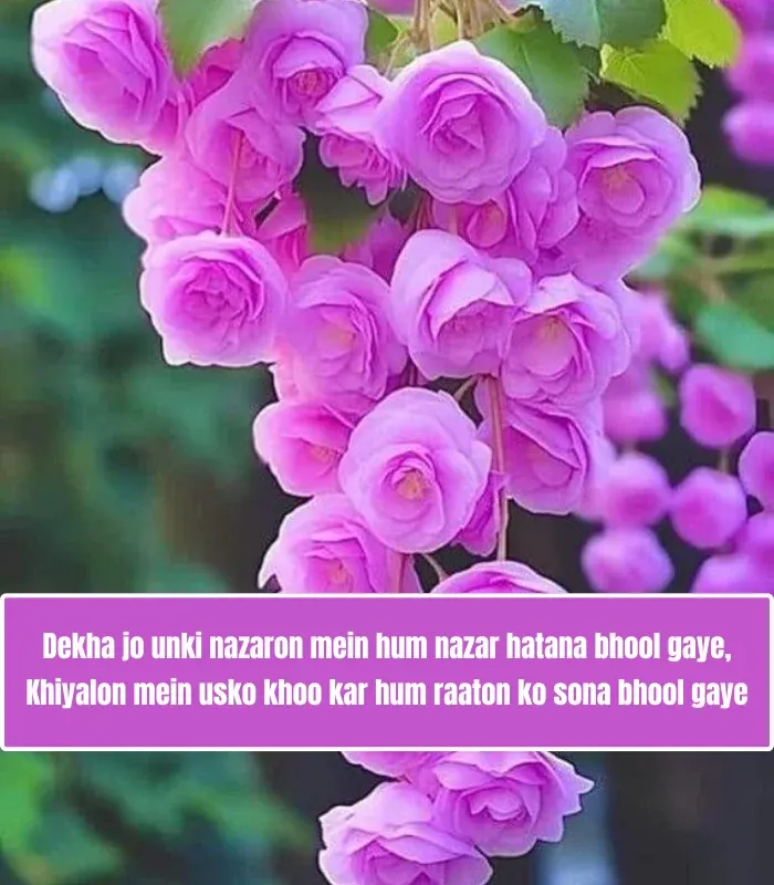 Best Tareef Shayari for Beautiful Girl in English Best Tareef Shayari for Beautiful Girl in English