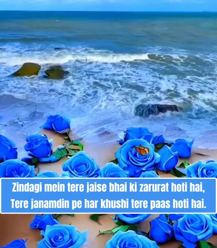 Bhai Birthday Shayari in English