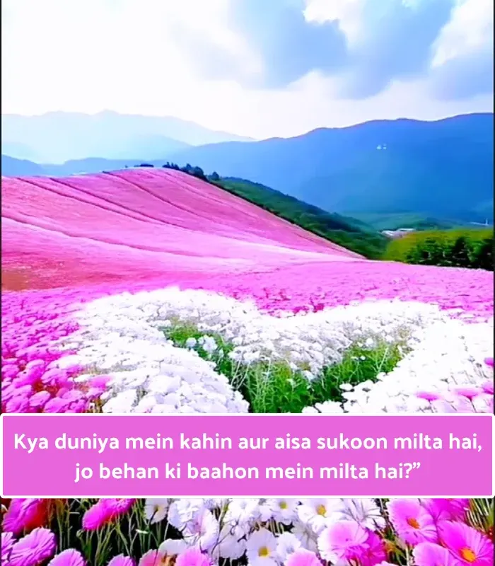 Big Sister Shayari in English