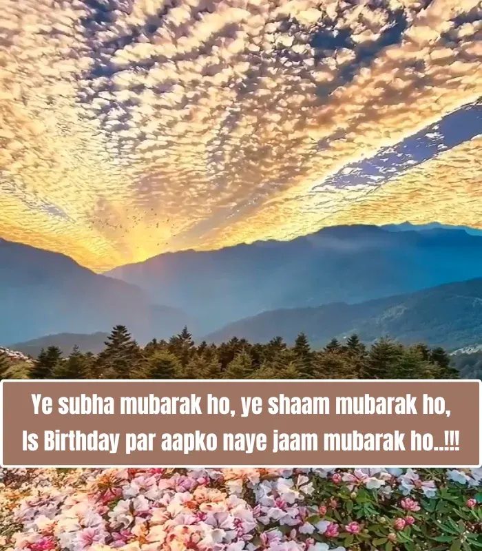 Birthday Shayari in English