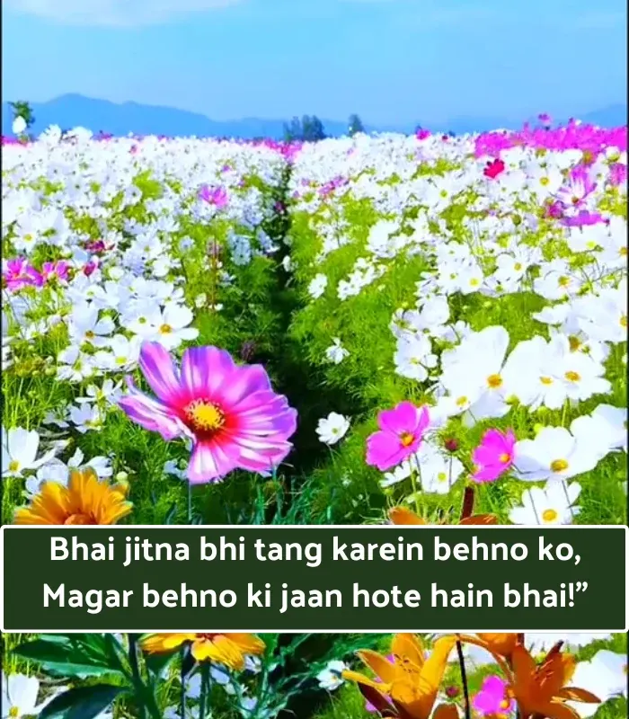 Brother and Sister Shayari in English