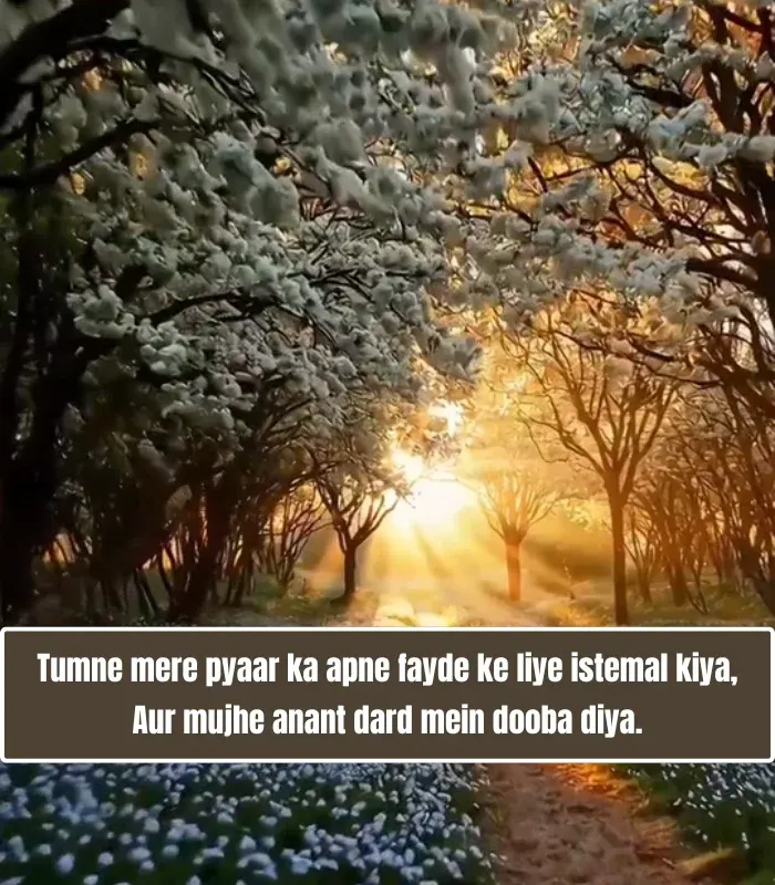 Dhoka Shayari in English for Boyfriend