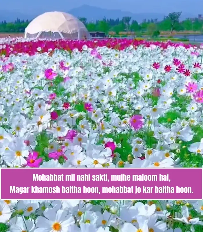 Ek Tarfa Mohabbat Shayari in English Ek Tarfa Mohabbat Shayari in English