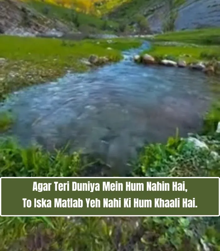 Enjoy Life Shayari in English