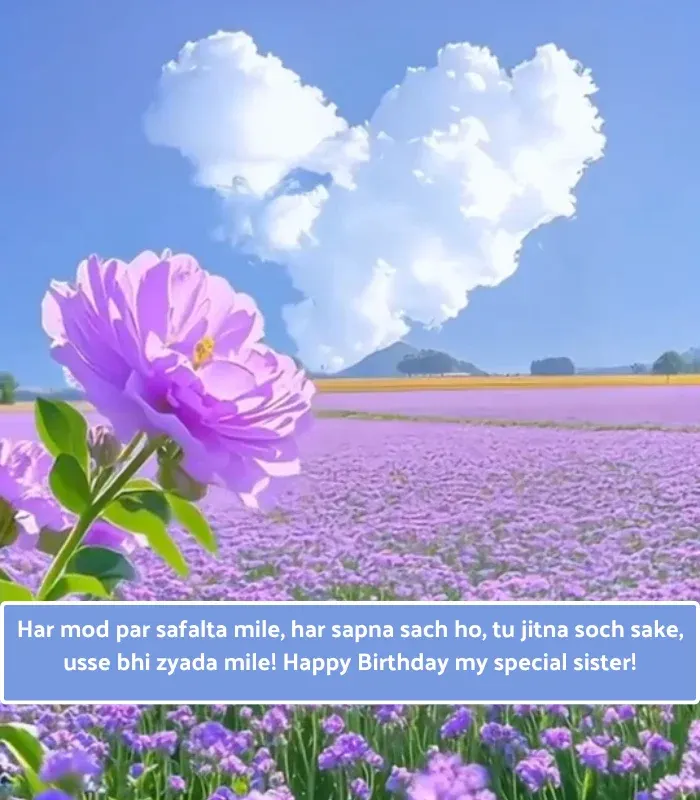 Happy Birthday Sister Shayari in English
