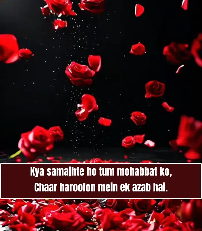 Heart Touching 2 Line Love Shayari in English