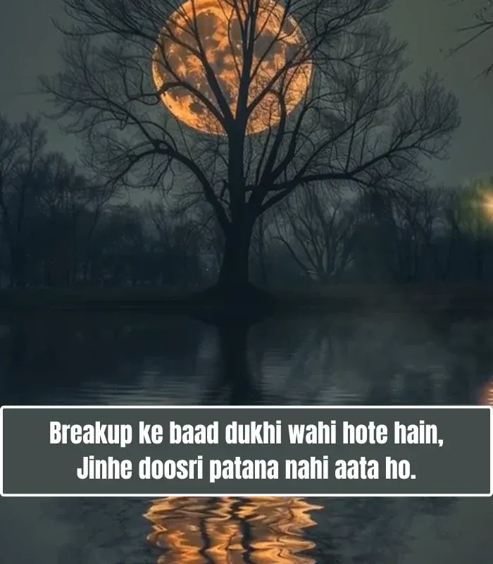 Heart-Touching Breakup Shayari in English