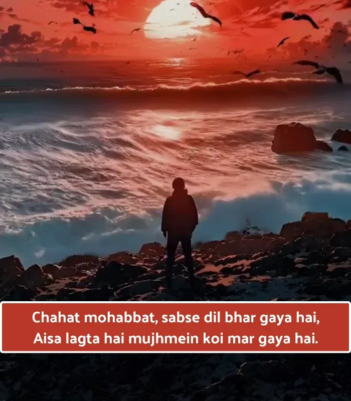 Heart True Love Short Love Shayari in English