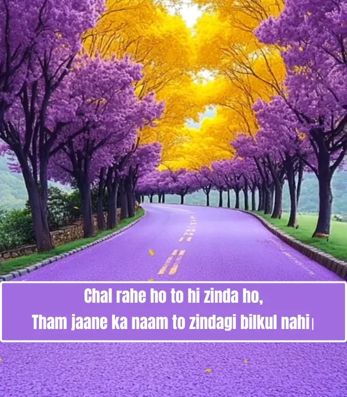 Life Shayari in English