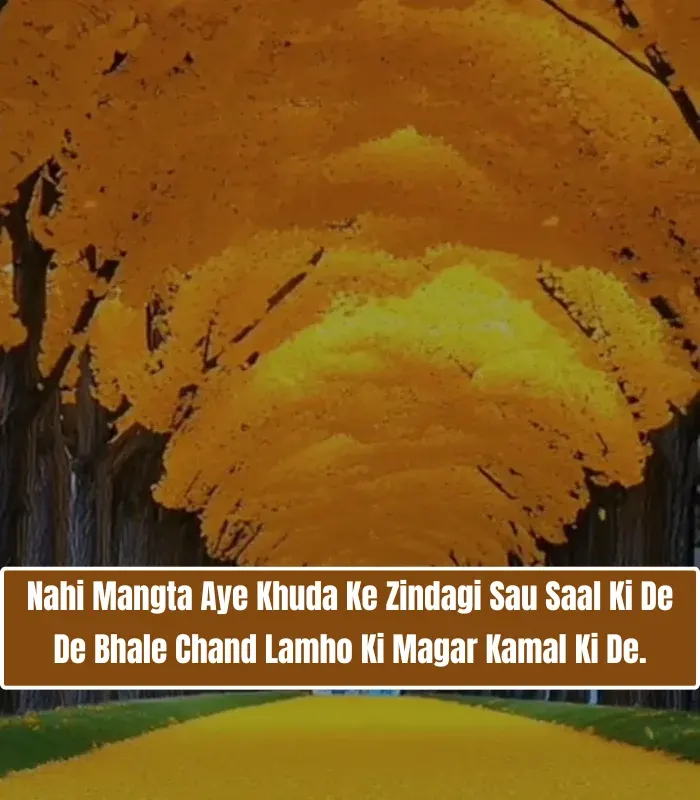 Life Shayari in English