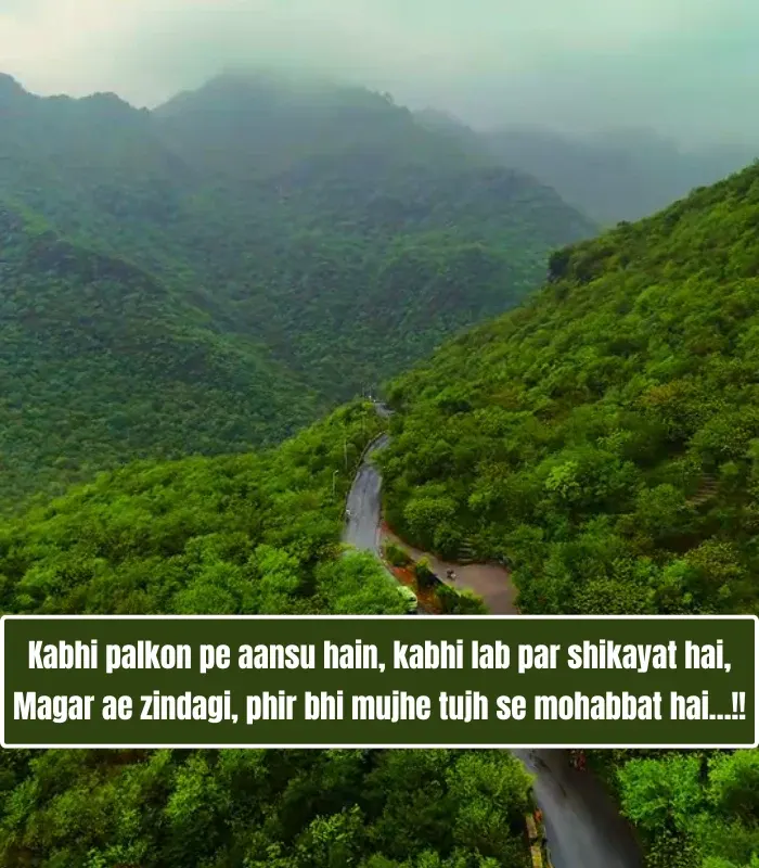 Life Shayari in English Hindi