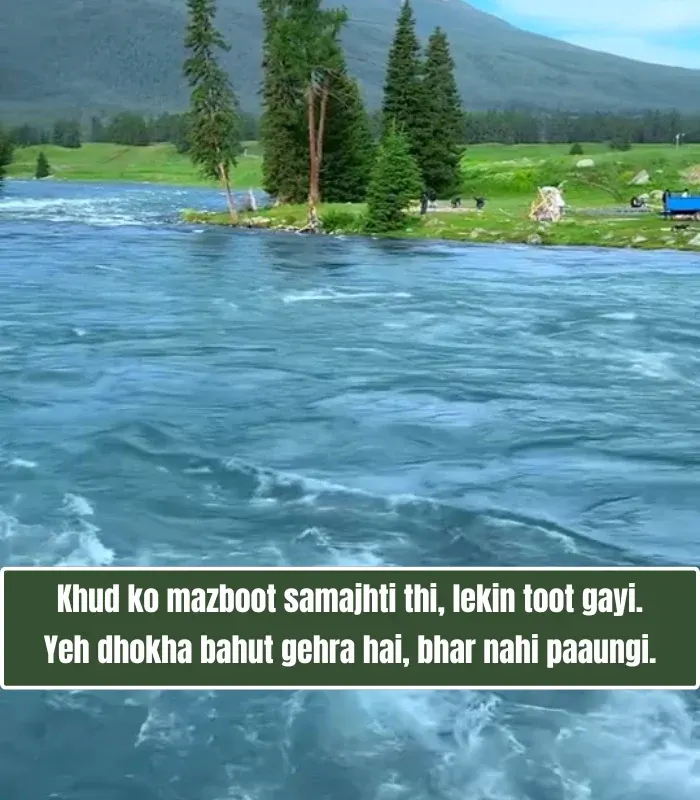 Life Shayari in English Image