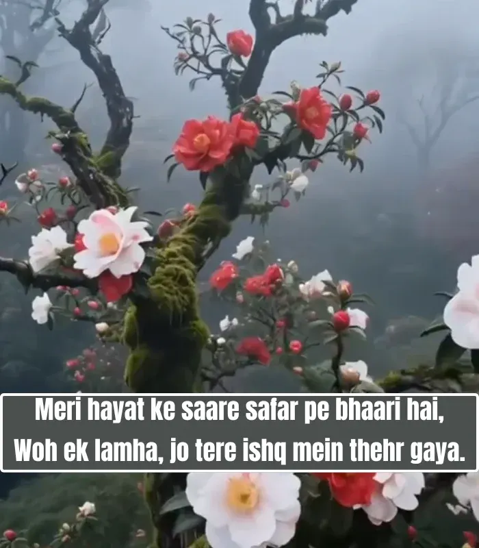 Mohabbat Shayari in English Mohabbat Shayari in English