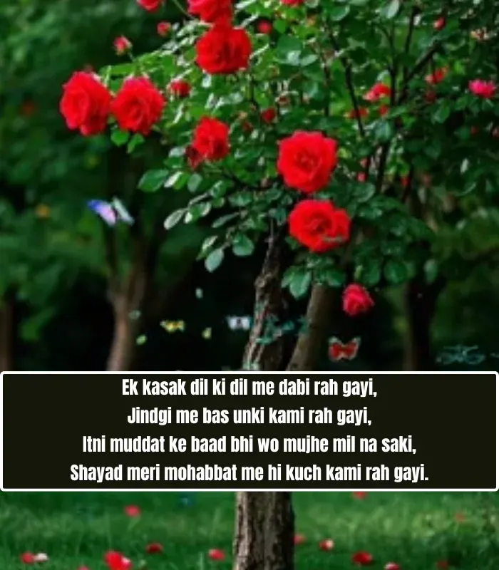 Mohabbat Shayari in English Mohabbat Shayari in English