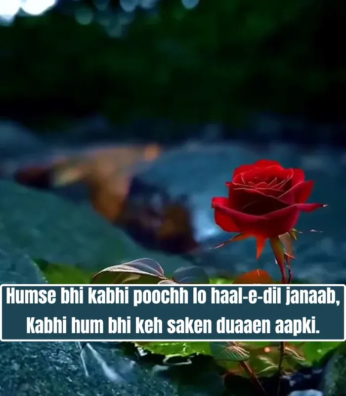 Mohabbat Shayari in English Mohabbat Shayari in English