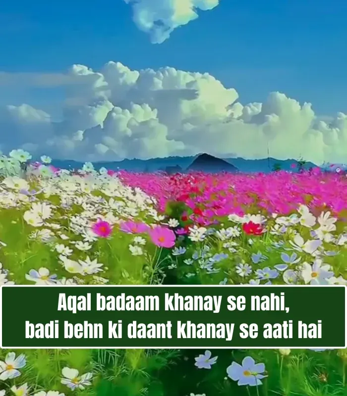 Sister Shayari in English 