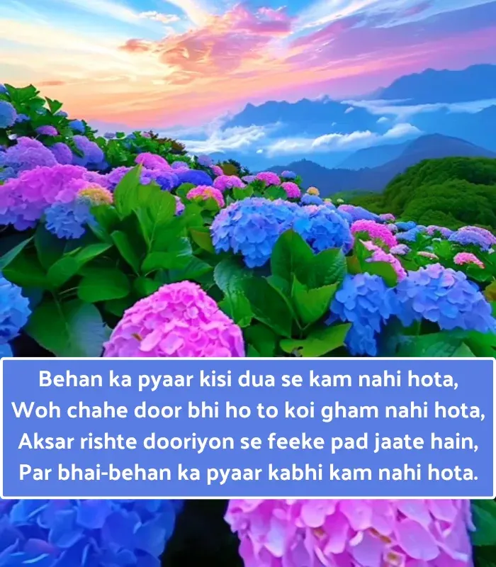 Sister Shayari in English Hindi