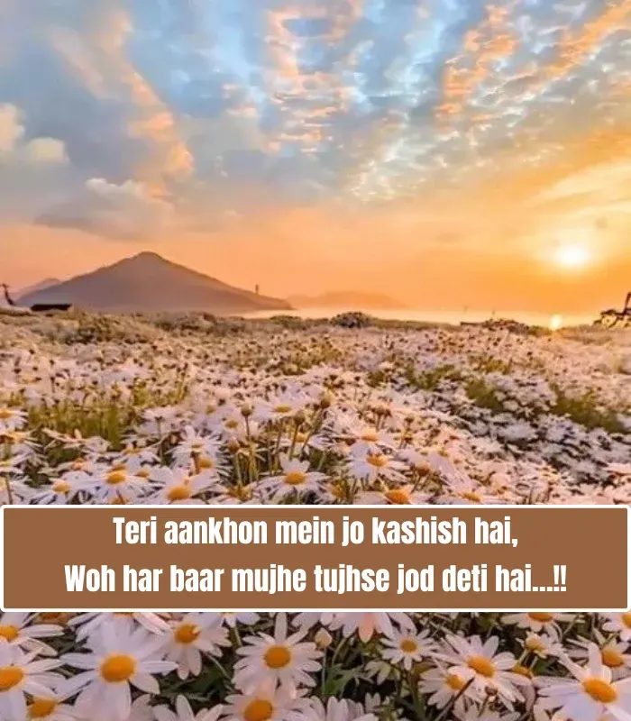 Stylish Shayari प्यार English 2 Line