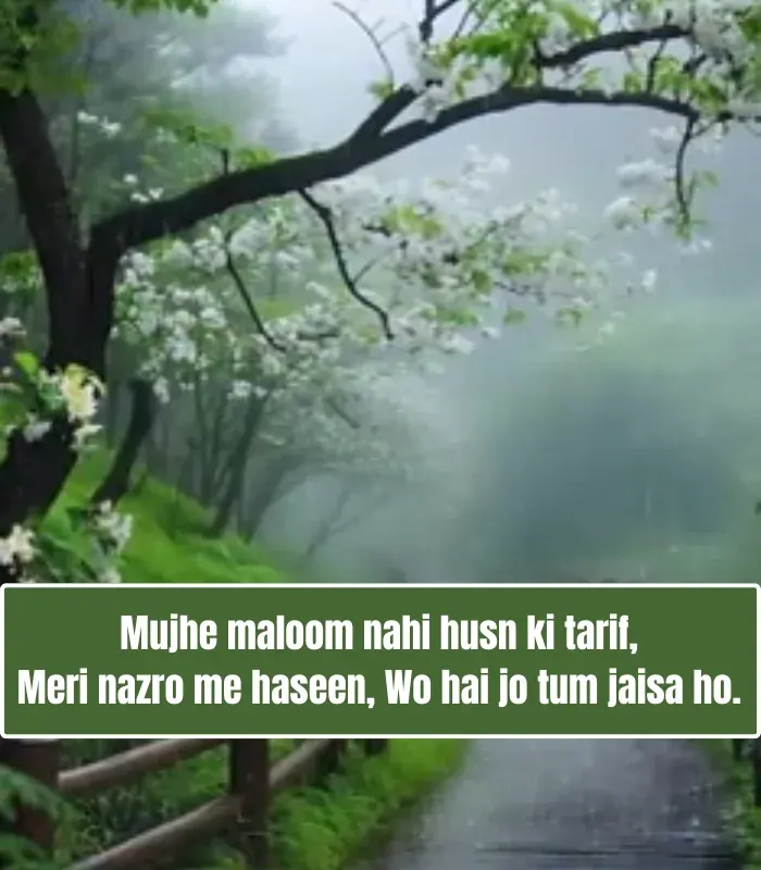 Tareef Shayari for Beautiful Girl in English Tareef Shayari for Beautiful Girl in English