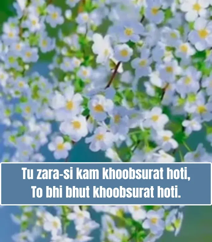 Tareef Shayari for Beautiful Girl in English Tareef Shayari for Beautiful Girl in English