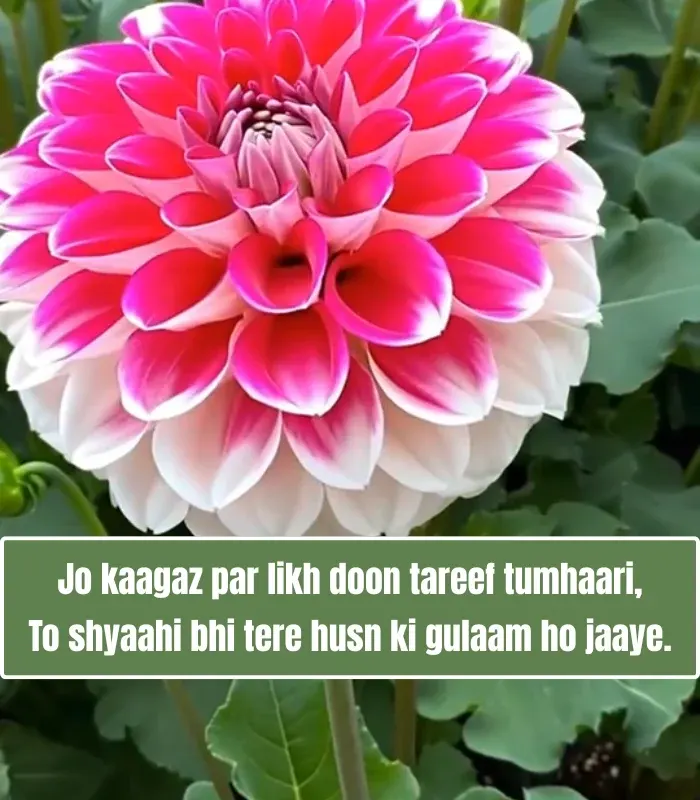 Tareef Shayari for Beautiful Girl in English for Instagram Tareef Shayari for Beautiful Girl in English for Instagram