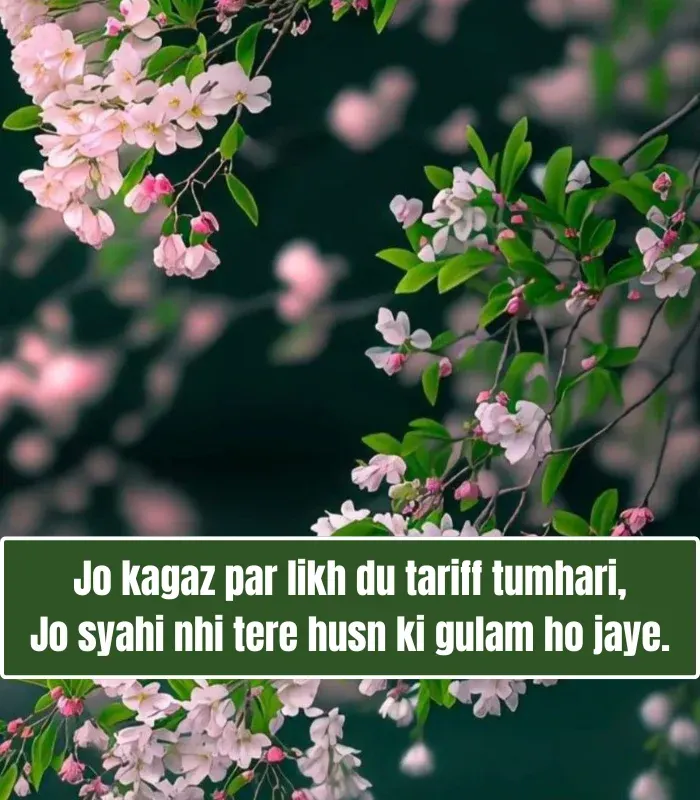 Tareef Shayari for Beautiful Girl in English Tareef Shayari for Beautiful Girl in English