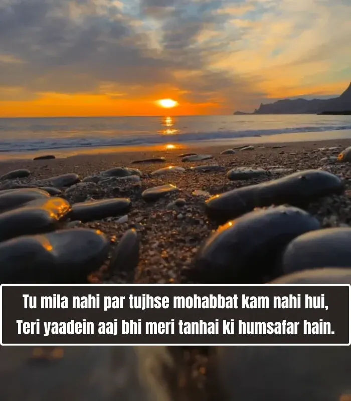 True Love Broken Heart Shayari in English True Love Broken Heart Shayari in English