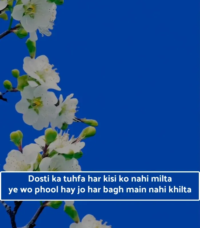Best Trust Friendship Shayari in English 
