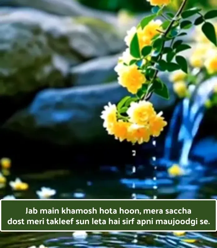 Heart Touching Lines Emotional Trust Friendship Shayari in English