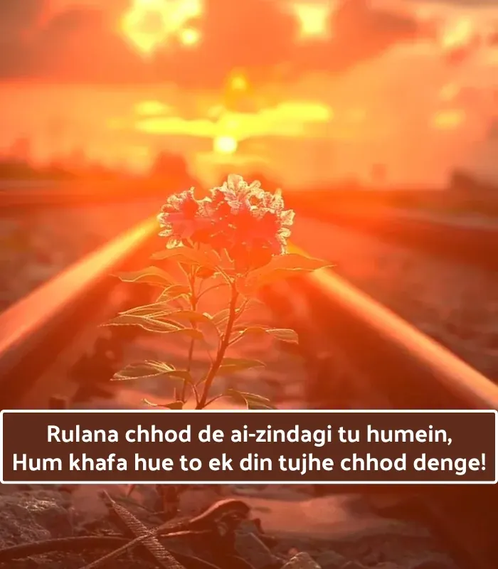 Sad Shayari😭 Life 2 Line English