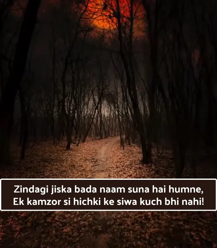 Sad Shayari😭 Life 2 Line English