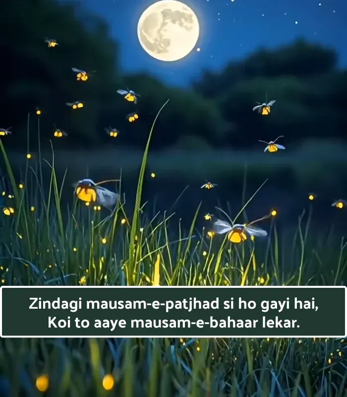 Sad Shayari😭 Life 2 Line English in Hindi