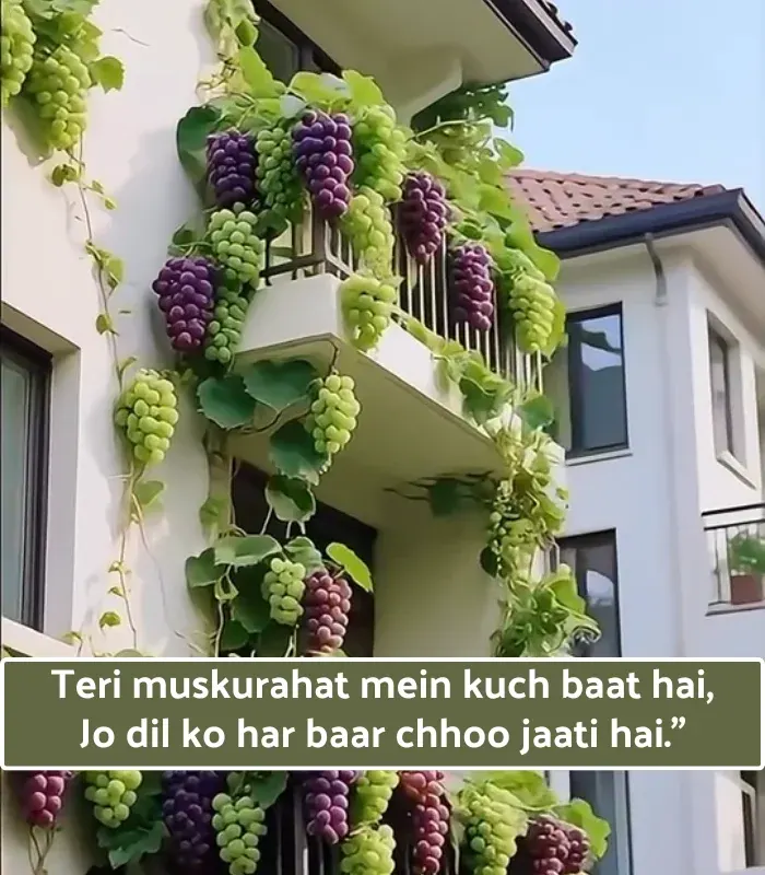 Smile Shayari in English 2 Lines