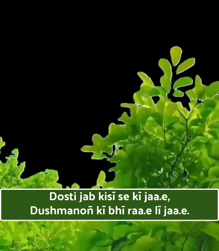 Trust Friendship Shayari in English
