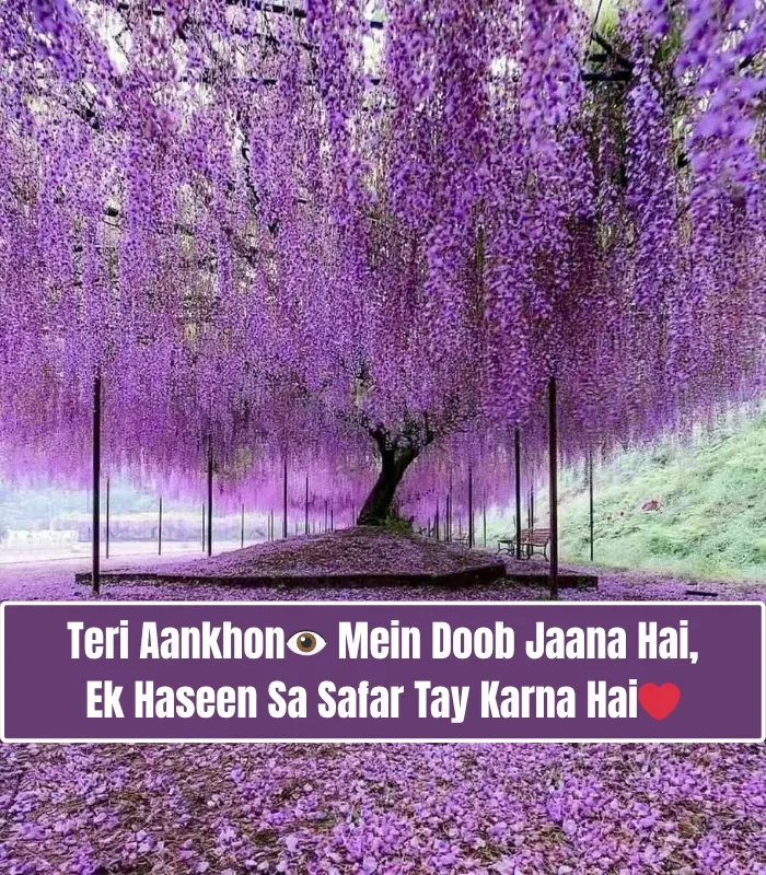 2 Line Love Shayari in English