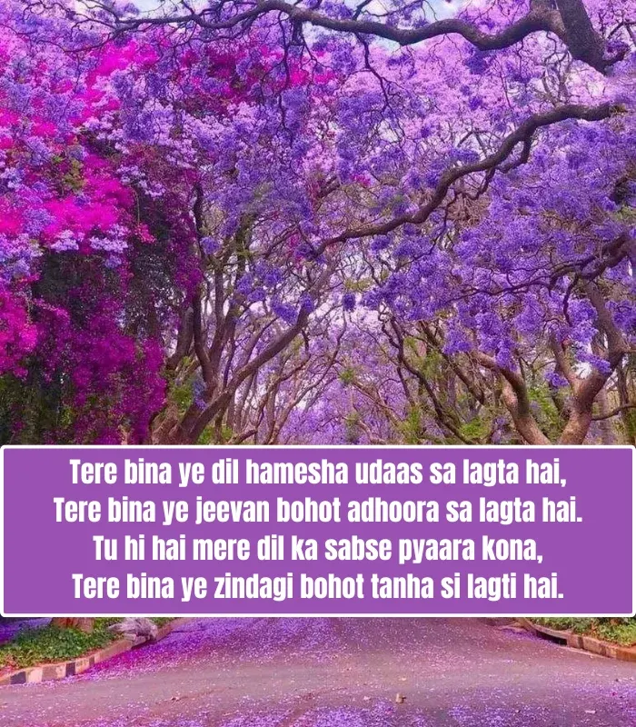 Heart-Touching Love Shayari in English
