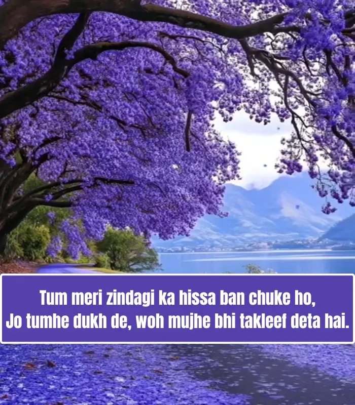 Love Shayari in English