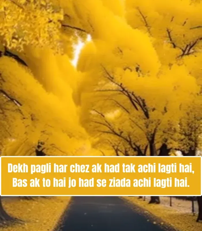 Love Shayari in English