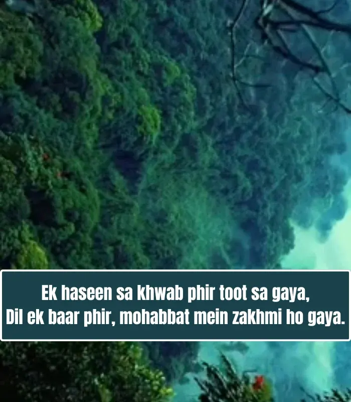 One Sided Love Shayari in English