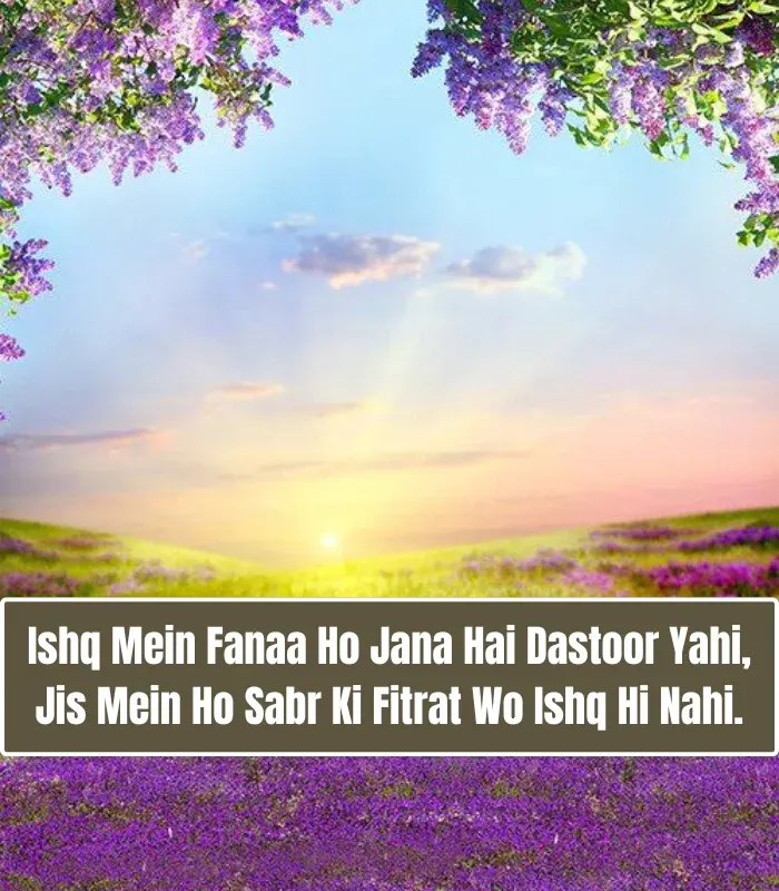 True Love Love Shayari in English